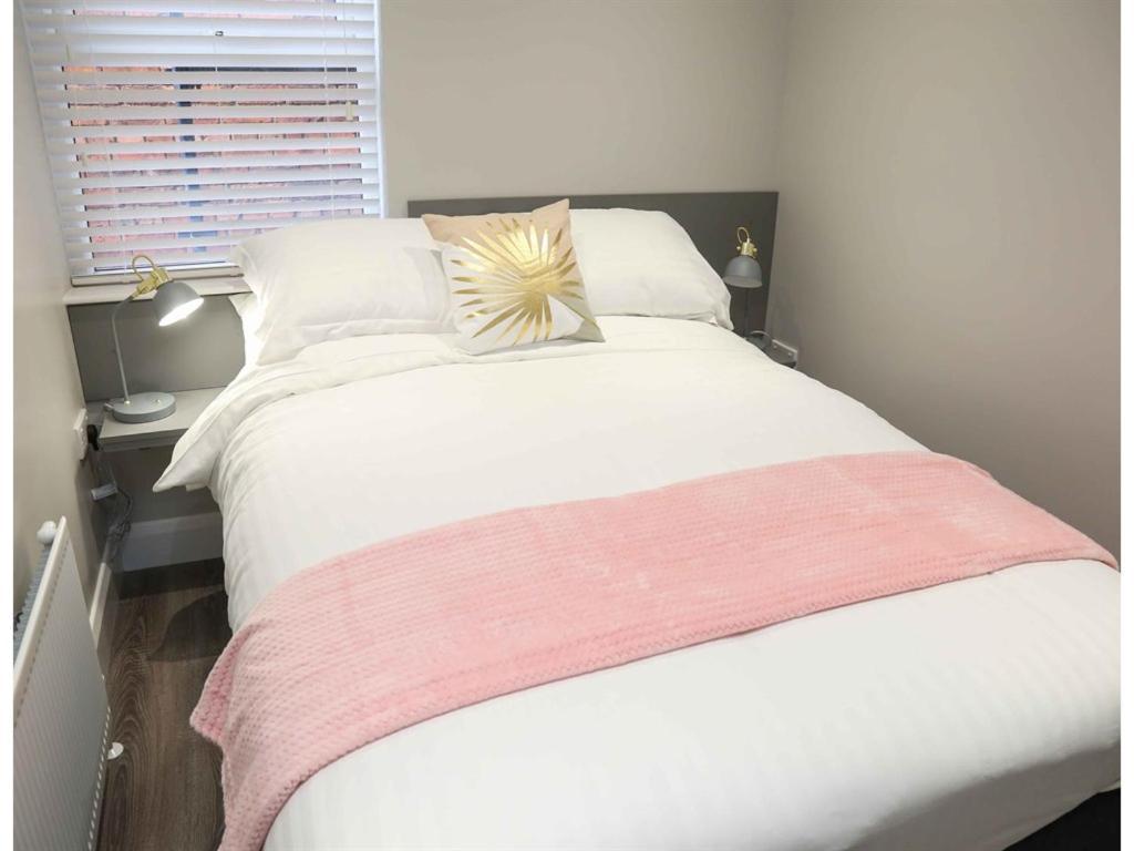 Belfast Serviced Apartments - Eglantine Zewnętrze zdjęcie